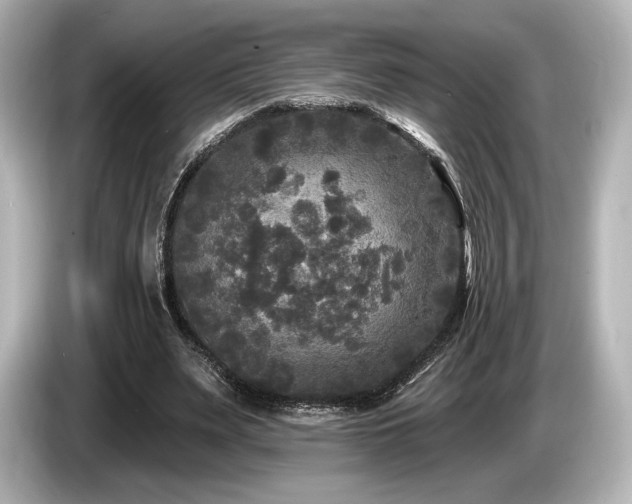 X0000085760487200703161121
