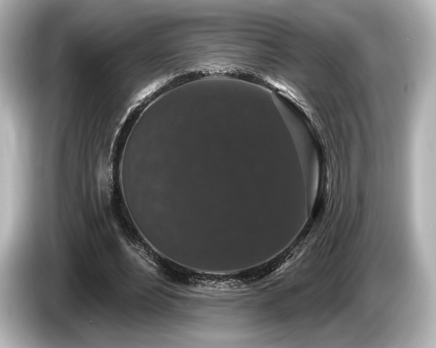 X0000085760488200703161121