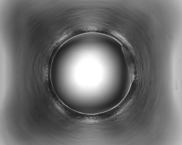 X0000085760489200703161121