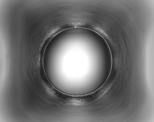 X0000085760490200703161121