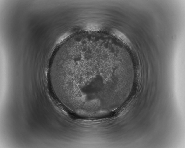 X0000085760491200703161121