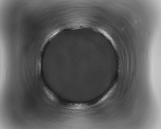 X0000085760493200703161121