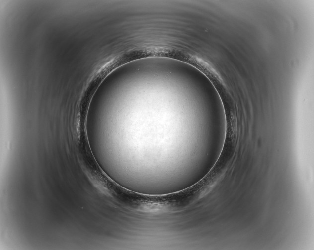 X0000085760494200703161121
