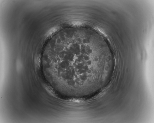 X0000085760495200703161121