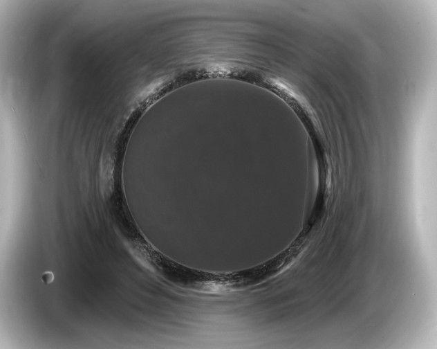 X0000085760496200703161121
