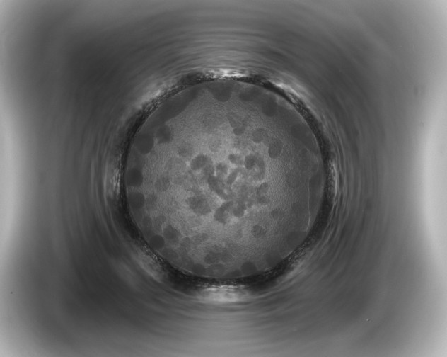 X0000085760499200703161121