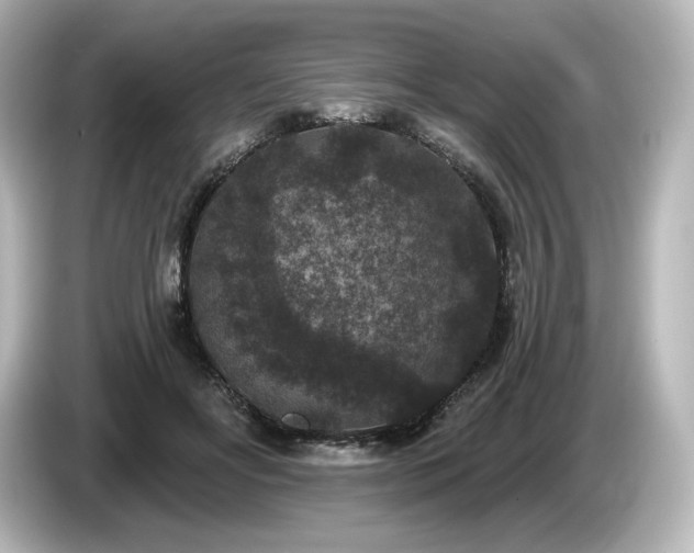 X0000085760502200703161121