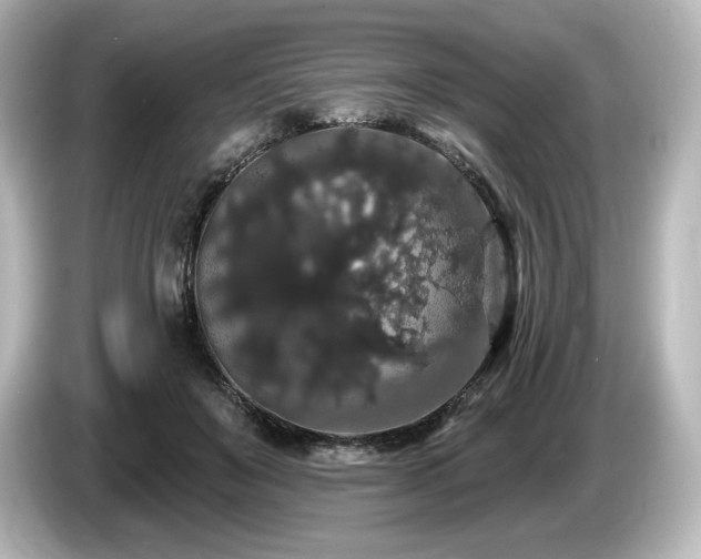 X0000085760503200703161121