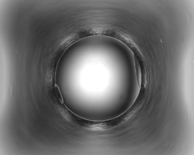 X0000085760505200703161121