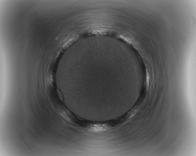 X0000085760508200703161121