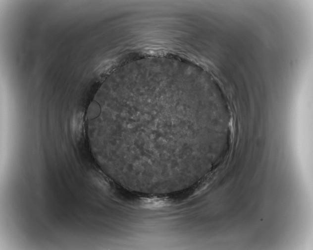 X0000085760511200703161121