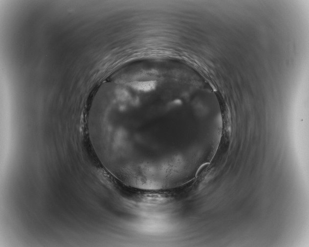 X0000085760519200703161121