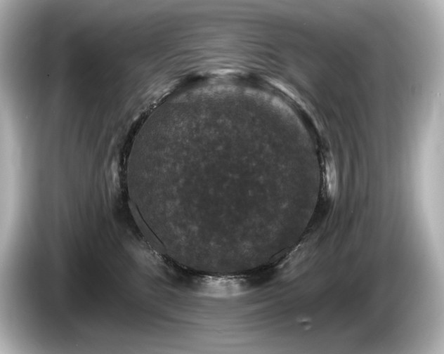 X0000085760520200703161121