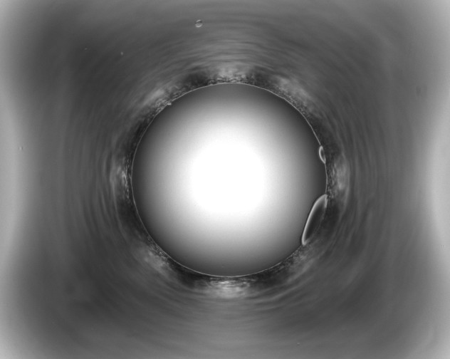 X0000085760522200703161121