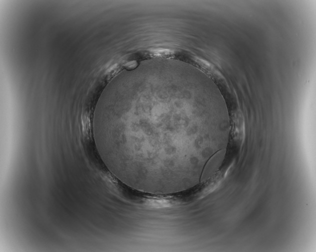 X0000085760523200703161121