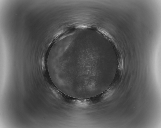 X0000085760524200703161121