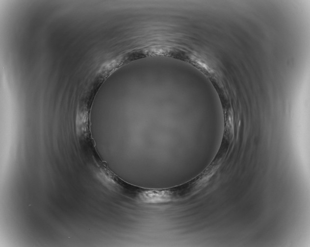 X0000085760526200703161121