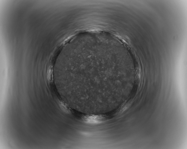 X0000085760527200703161121
