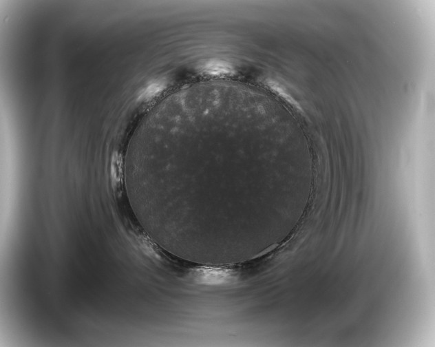 X0000085760528200703161121