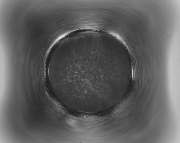 X0000085760531200703161120