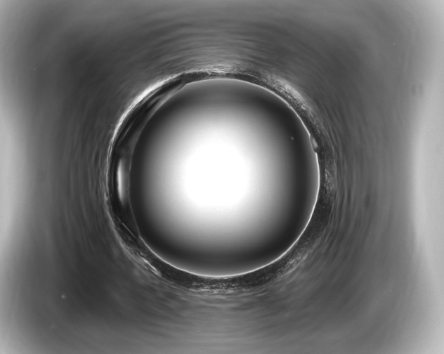 X0000085760532200703161120