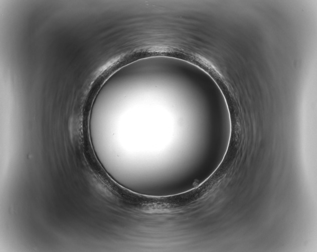 X0000085760535200703161120