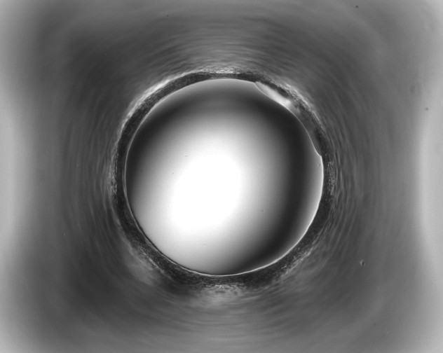 X0000085760536200703161120