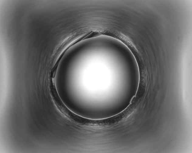 X0000085760538200703161120