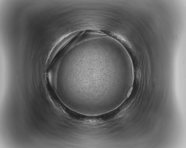 X0000085760540200703161120
