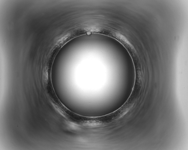 X0000085760541200703161120