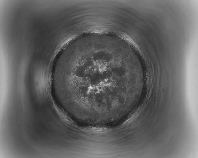 X0000085760542200703161120