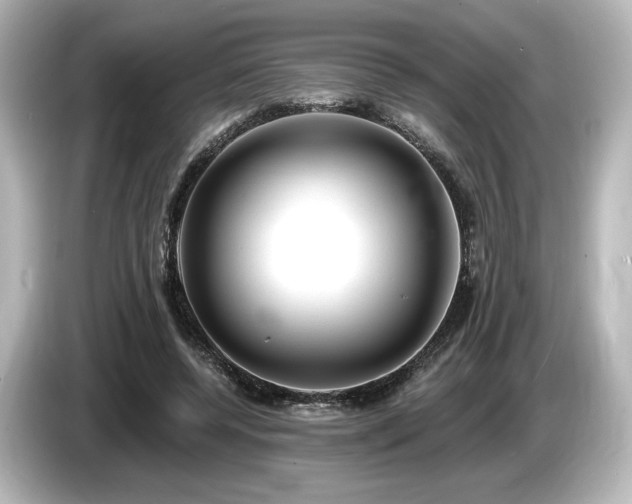 X0000085760544200703161120