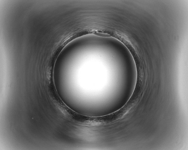 X0000085760545200703161120
