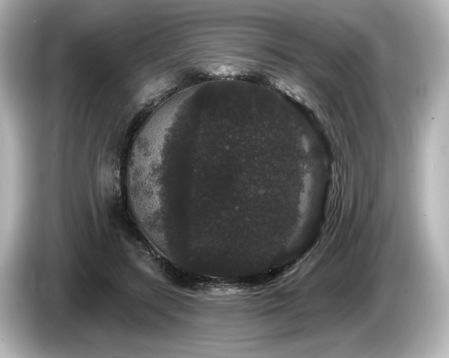X0000085760547200703161120