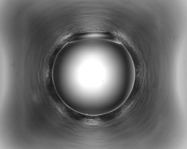 X0000085760548200703161120