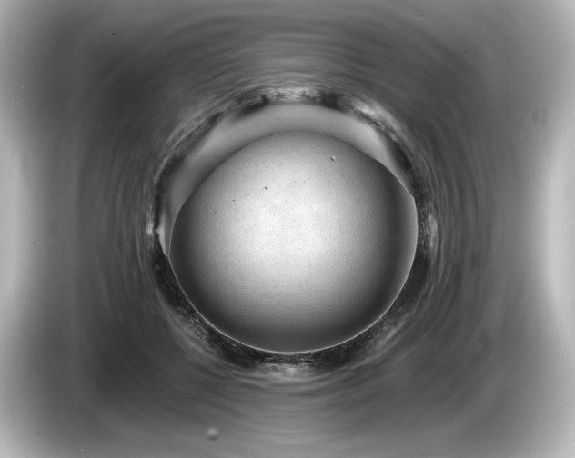 X0000085760552200703161120