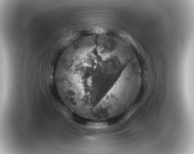 X0000085760553200703161120