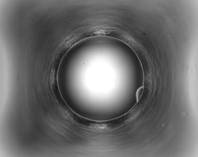 X0000085760554200703161120