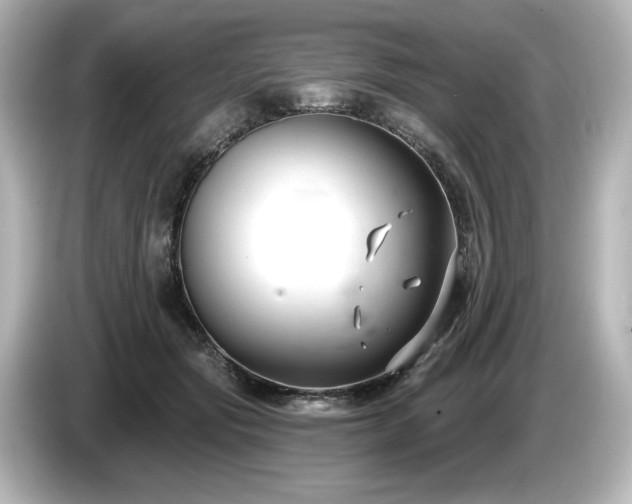 X0000085760557200703161120