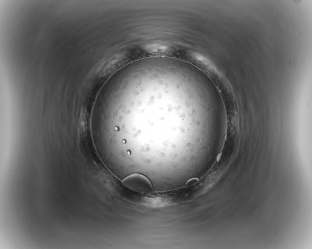 X0000085760561200703161120