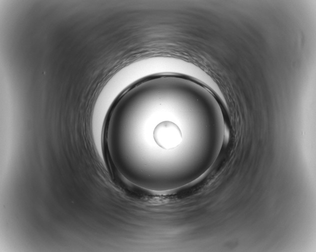 X0000085760562200703161120