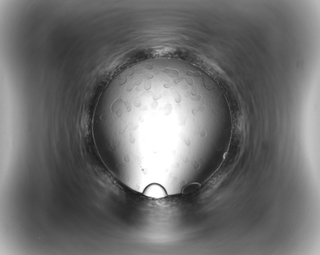 X0000085760565200703161120