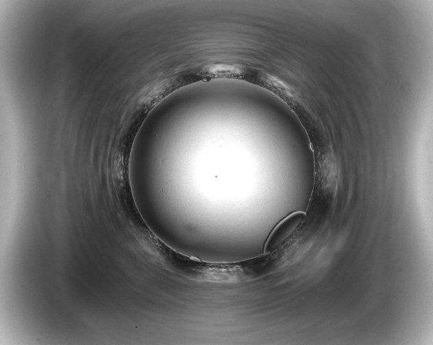 X0000085760571200703161120