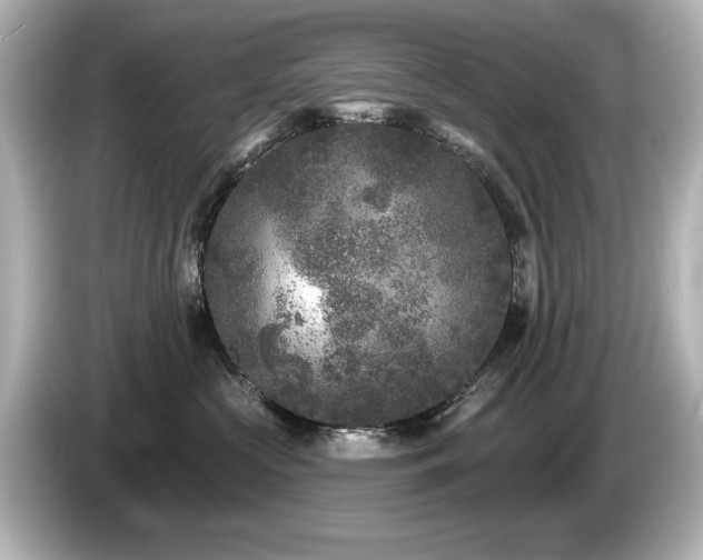 X0000085760573200703161120