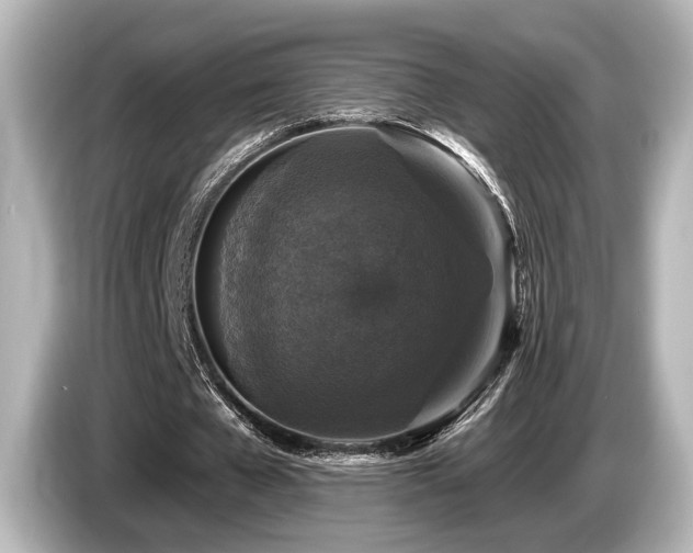 X0000085760577200703161120