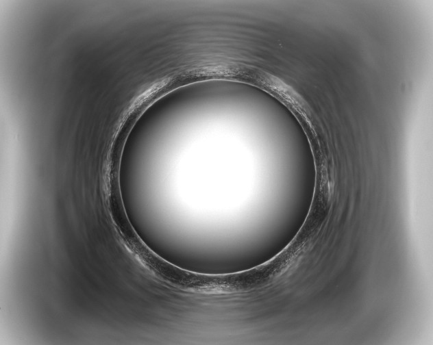 X0000085760578200703161120