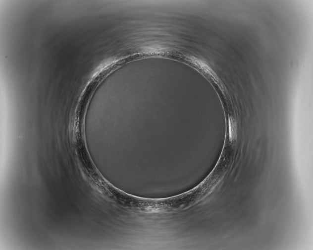 X0000085760579200703161120