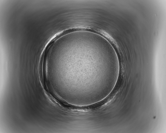 X0000085760580200703161120