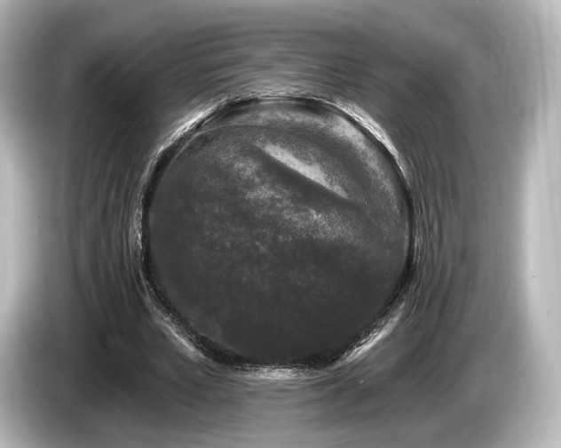 X0000085760581200703161120