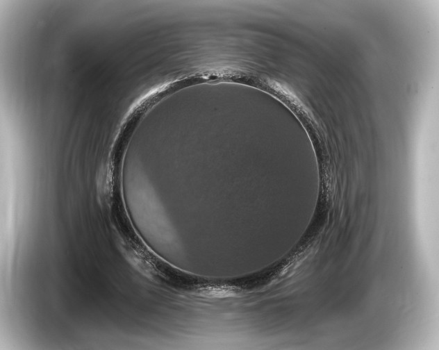 X0000085760583200703161120